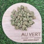 Amnésia US SB CBD Indoor