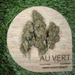 amnésia-Lemon CBD GH